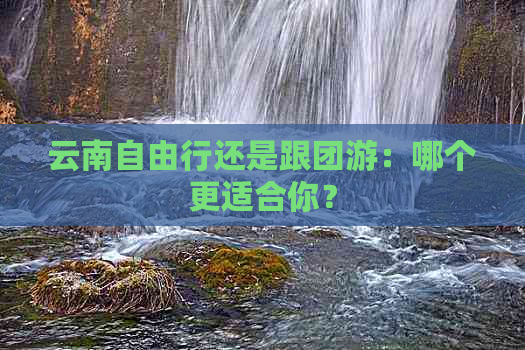 云南自由行还是跟团游：哪个更适合你？