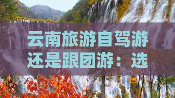 云南旅游自驾游还是跟团游：选择自由行还是团队游更适合您？