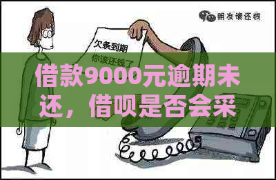 借款9000元逾期未还，借呗是否会采取上门措？