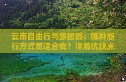 云南自由行与跟团游：哪种旅行方式更适合我？详解优缺点对比分析