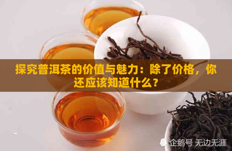 探究普洱茶的价值与魅力：除了价格，你还应该知道什么？