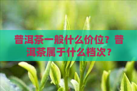 普洱茶一般什么价位？普洱茶属于什么档次？