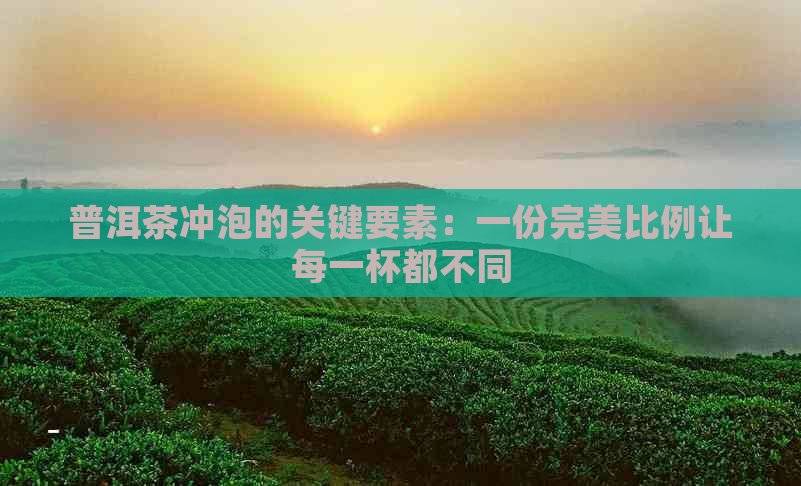 普洱茶冲泡的关键要素：一份完美比例让每一杯都不同