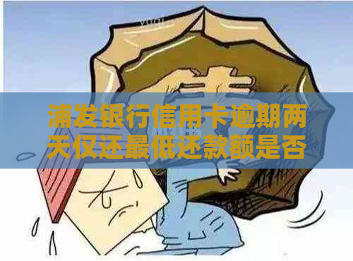 浦发银行信用卡逾期两天仅还更低还款额是否可行？