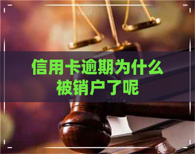 信用卡逾期为什么被销户了呢