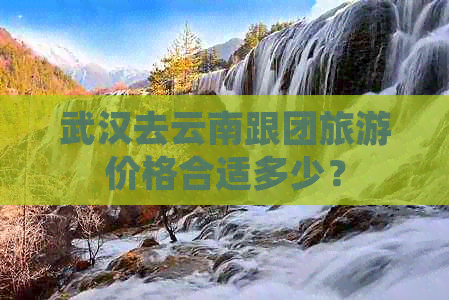 武汉去云南跟团旅游价格合适多少？