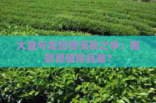 大益与龙润普洱茶之争：哪款更值得品鉴？