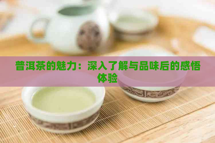 普洱茶的魅力：深入了解与品味后的感悟体验