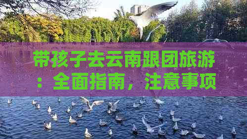 带孩子去云南跟团旅游：全面指南，注意事项与实用建议