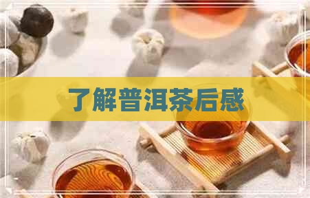 了解普洱茶后感