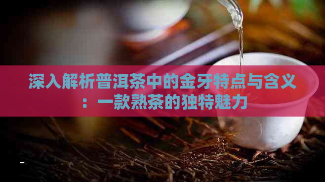 深入解析普洱茶中的金牙特点与含义：一款熟茶的独特魅力