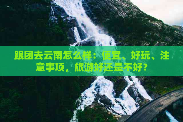 跟团去云南怎么样：便宜、好玩、注意事项，旅游好还是不好？