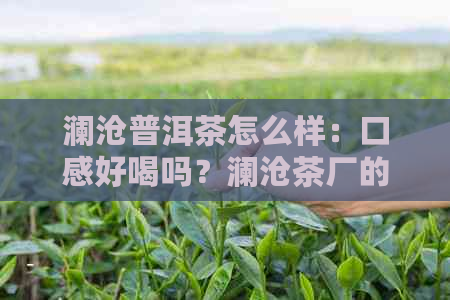 澜沧普洱茶怎么样：口感好喝吗？澜沧茶厂的普洱茶价格如何？