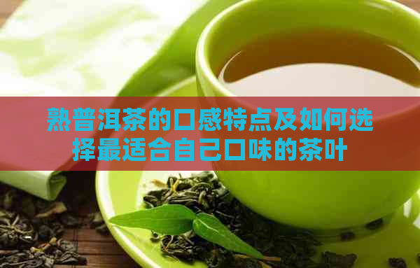 熟普洱茶的口感特点及如何选择最适合自己口味的茶叶