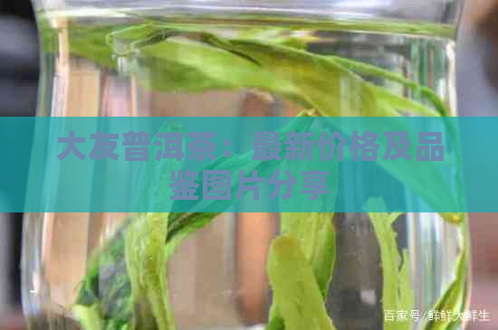 大友普洱茶：最新价格及品鉴图片分享