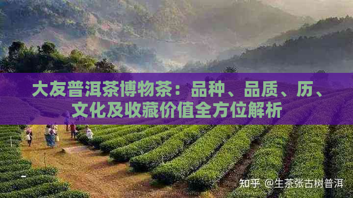 大友普洱茶博物茶：品种、品质、历、文化及收藏价值全方位解析