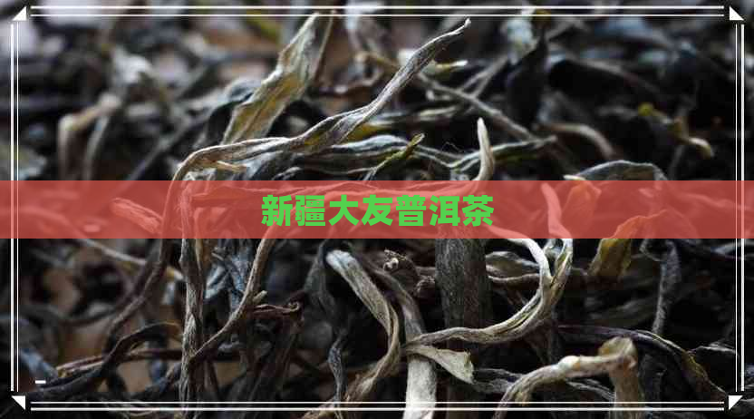 新疆大友普洱茶