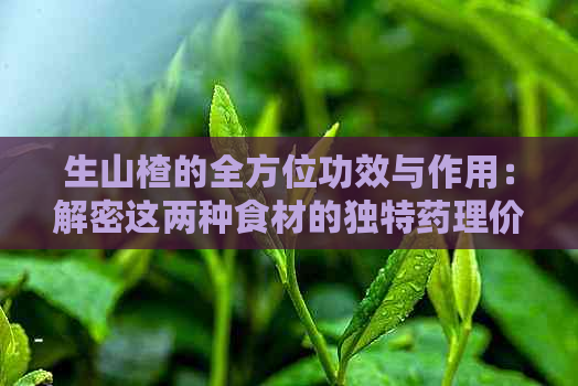 生山楂的全方位功效与作用：解密这两种食材的独特药理价值与临床应用