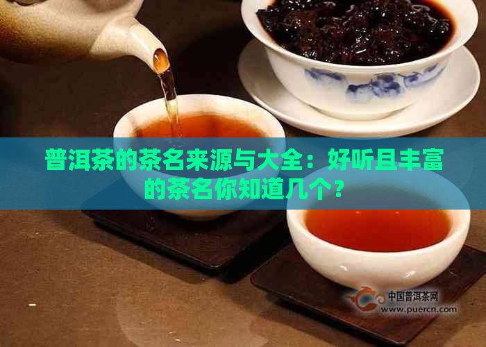 普洱茶的茶名来源与大全：好听且丰富的茶名你知道几个？