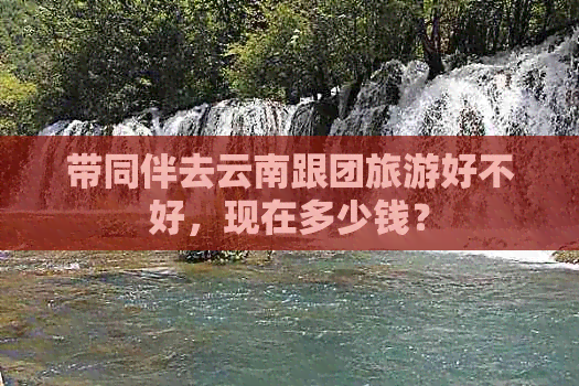 带同伴去云南跟团旅游好不好，现在多少钱？