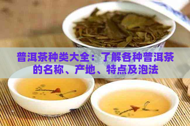 普洱茶种类大全：了解各种普洱茶的名称、产地、特点及泡法