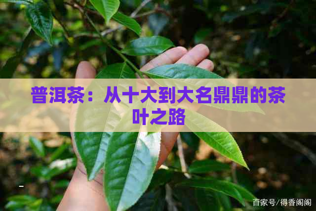 普洱茶：从十大到大名鼎鼎的茶叶之路