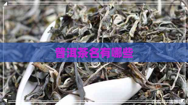 普洱茶名有哪些