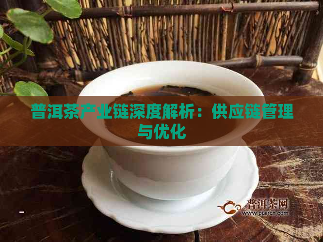 普洱茶产业链深度解析：供应链管理与优化