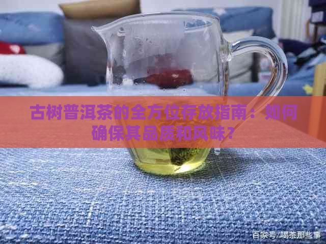 古树普洱茶的全方位存放指南：如何确保其品质和风味？