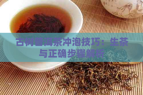 古树普洱茶冲泡技巧：生茶与正确步骤解析