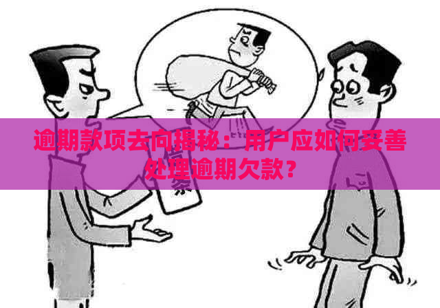 逾期款项去向揭秘：用户应如何妥善处理逾期欠款？