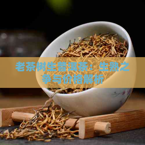 老茶树生普洱茶：生熟之争与价格解析