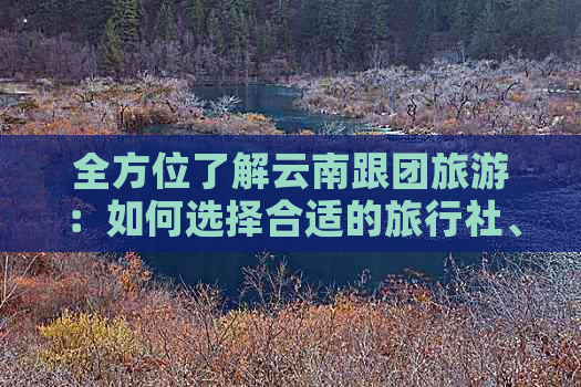 全方位了解云南跟团旅游：如何选择合适的旅行社、行程安排、费用与注意事项