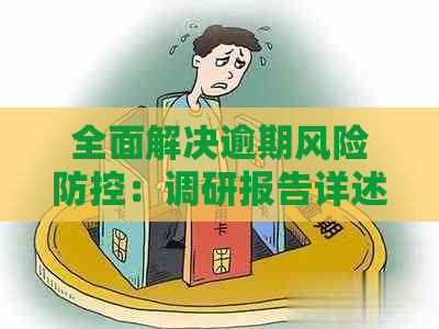 全面解决逾期风险：调研报告详述策略与实践