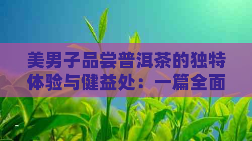 美男子品尝普洱茶的独特体验与健益处：一篇全面指南