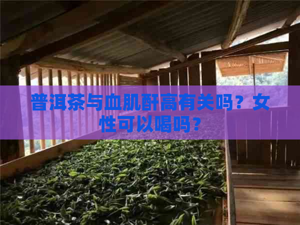 普洱茶与血肌酐高有关吗？女性可以喝吗？