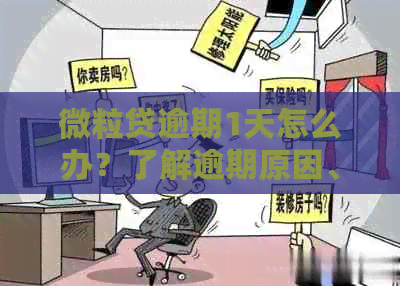 微粒贷逾期1天怎么办？了解逾期原因、影响及解决办法