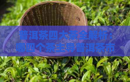 普洱茶四大茶全解析：哪四个茶主导普洱茶市场？