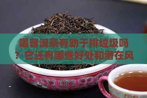 喝普洱茶有助于排垃圾吗？它还有哪些好处和潜在风险？