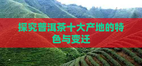 探究普洱茶十大产地的特色与变迁