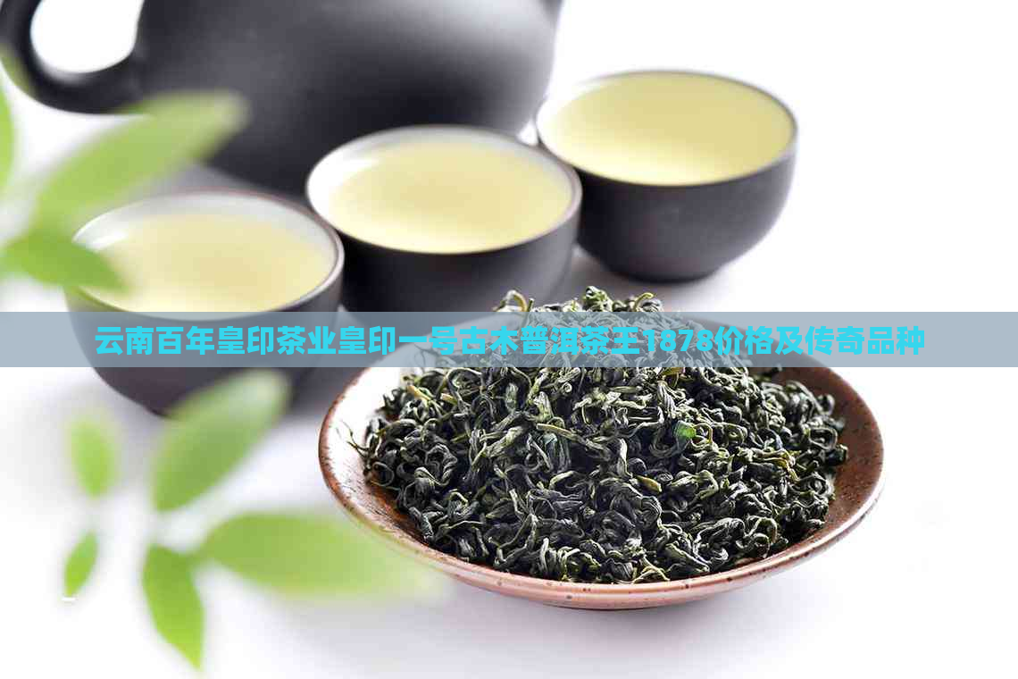 云南百年皇印茶业皇印一号古木普洱茶王1878价格及传奇品种