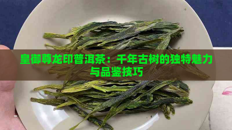 皇御尊龙印普洱茶：千年古树的独特魅力与品鉴技巧