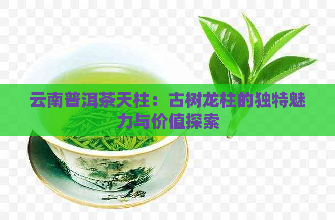 云南普洱茶天柱：古树龙柱的独特魅力与价值探索