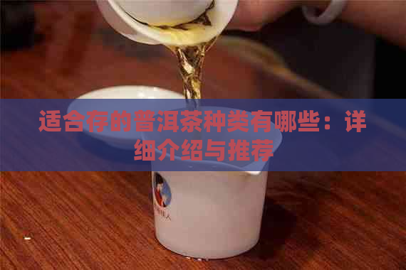 适合存的普洱茶种类有哪些：详细介绍与推荐