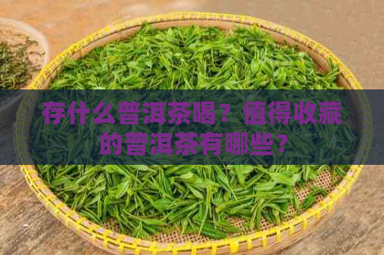 存什么普洱茶喝？值得收藏的普洱茶有哪些？