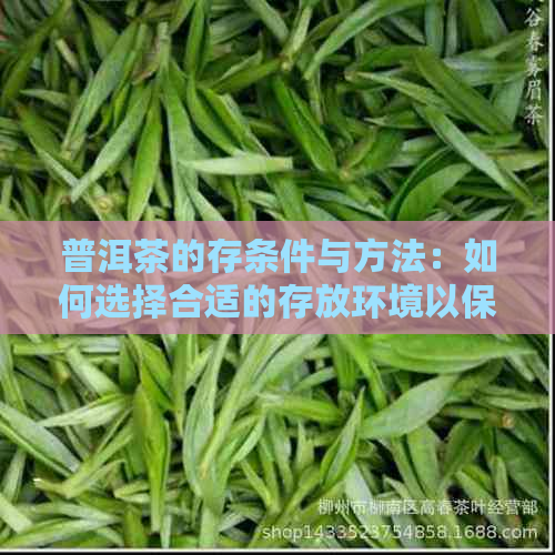 普洱茶的存条件与方法：如何选择合适的存放环境以保持茶叶品质？