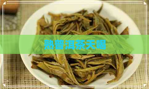 熟普洱茶天喝