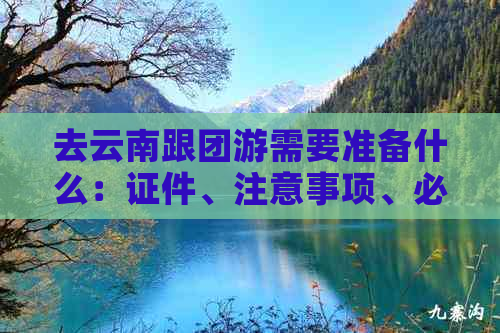 去云南跟团游需要准备什么：证件、注意事项、必备物品和费用详解