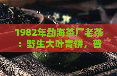 1982年勐海茶厂老茶：野生大叶青饼，普洱茶的珍贵韵味