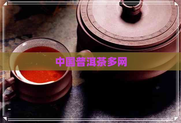 中国普洱茶多网